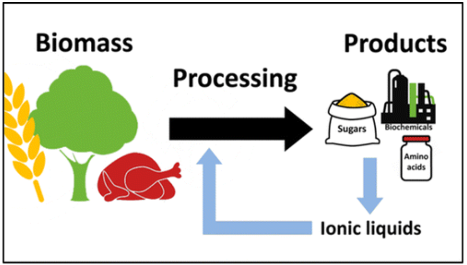 Ionic liquid review