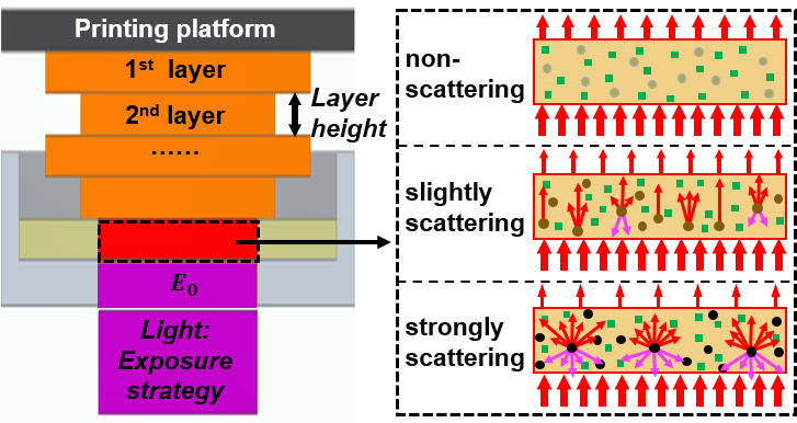 Scattering model for composite stereolithography @ ACS Applied polymer materials!