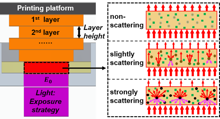 Scattering model for composite stereolithography @ ACS Applied polymer materials!