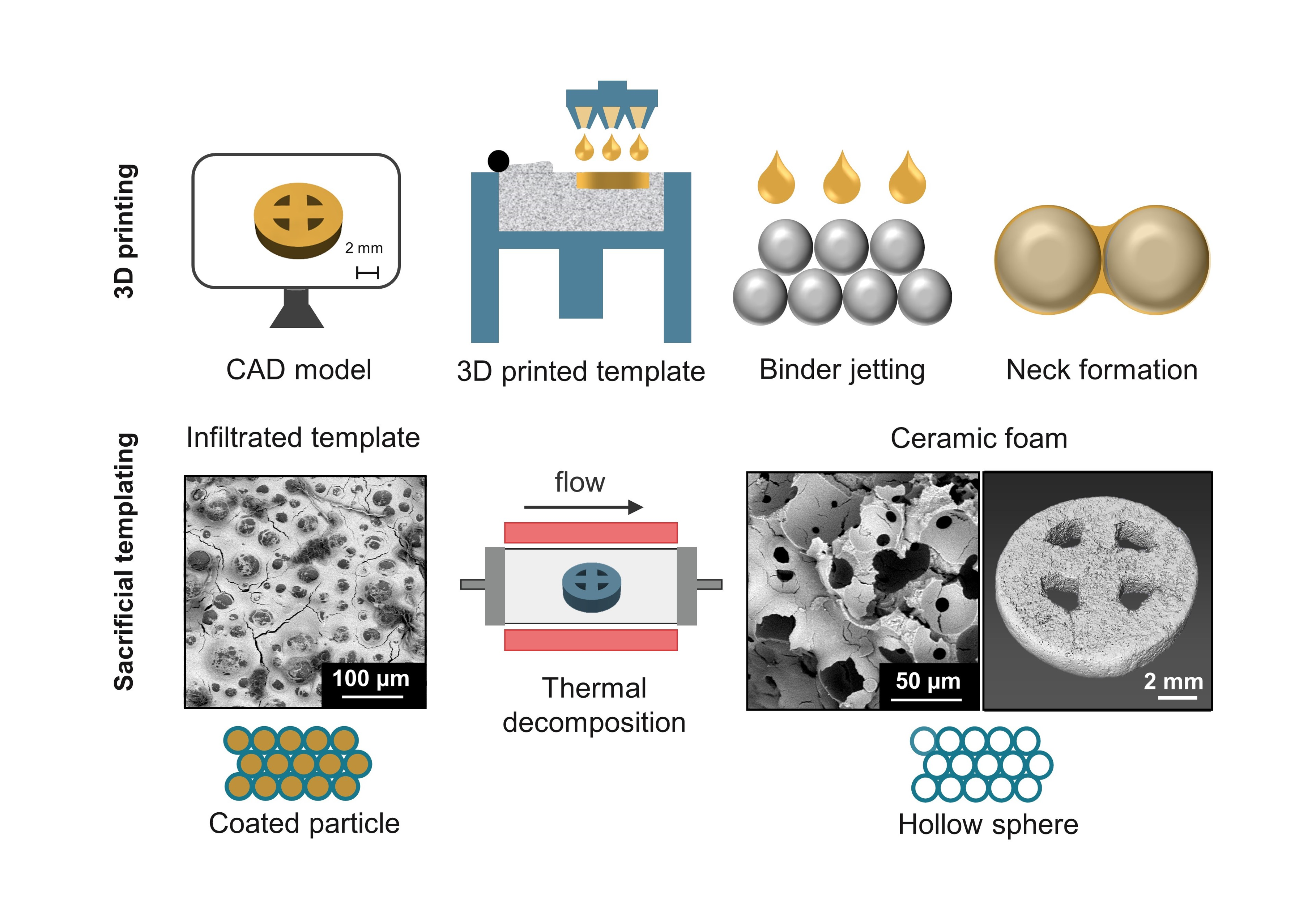 Ceramic foams through 3D-printed templates @Adv. Eng. Mater.!