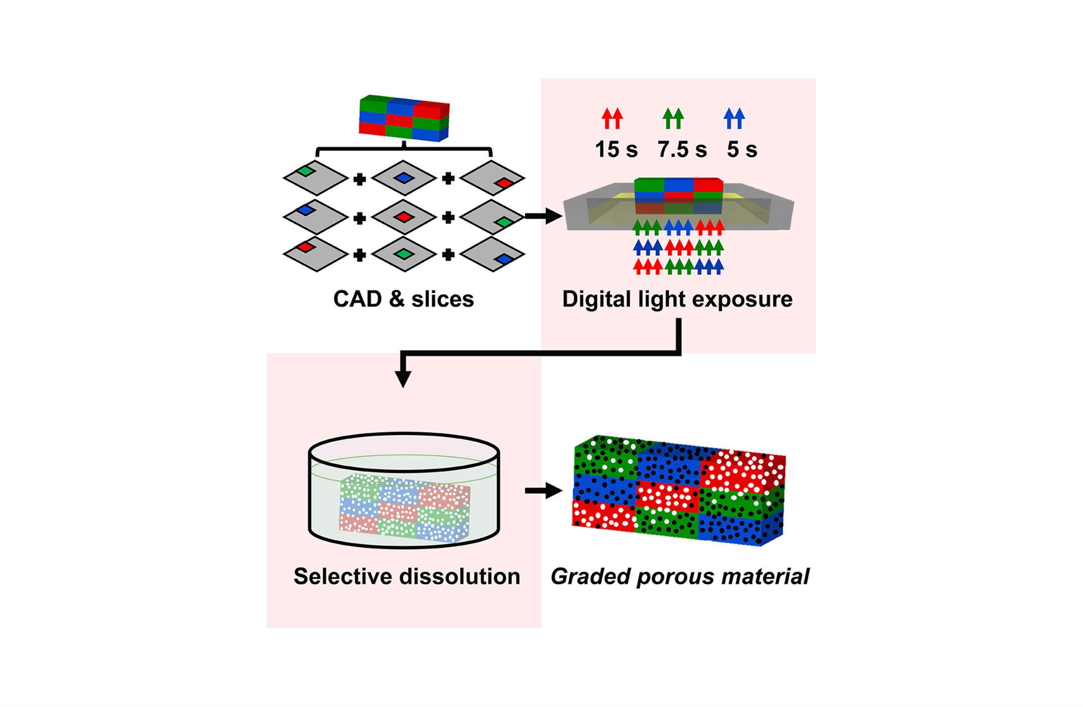 SLA 3D printing of graded porous materials @Cell Reports Physical Science!