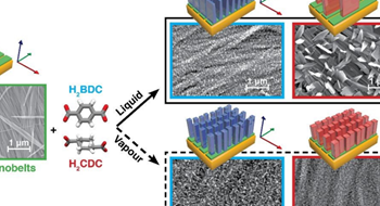 Polymorphism and orientation control of copper-dicarboxylate MOF thin films through vapour- and liquid-phase growth @Cryst. Eng. Comm.!