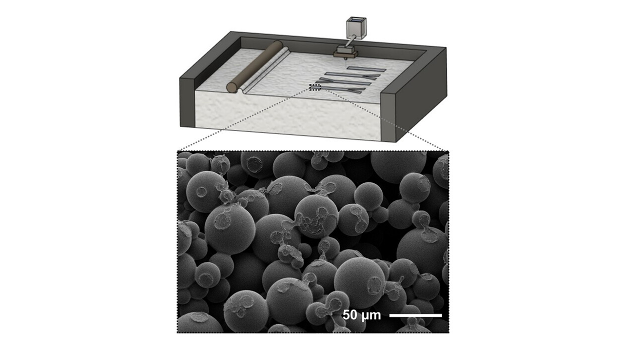 3D Printed Power Source for Point-of-Care Diagnostics @Advanced Engineering Materials!