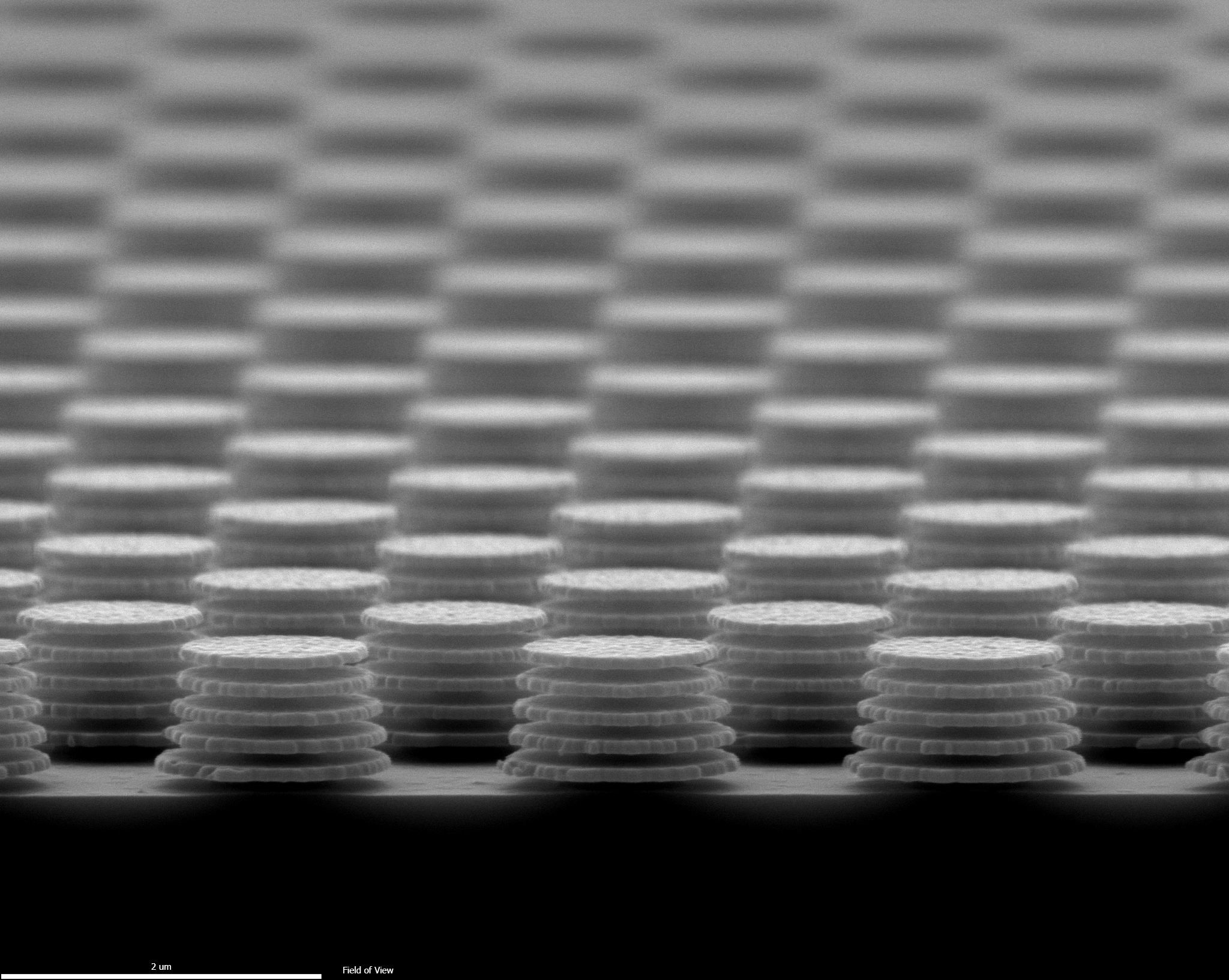 Giel's research in the spotlight @Bio-ingenieus