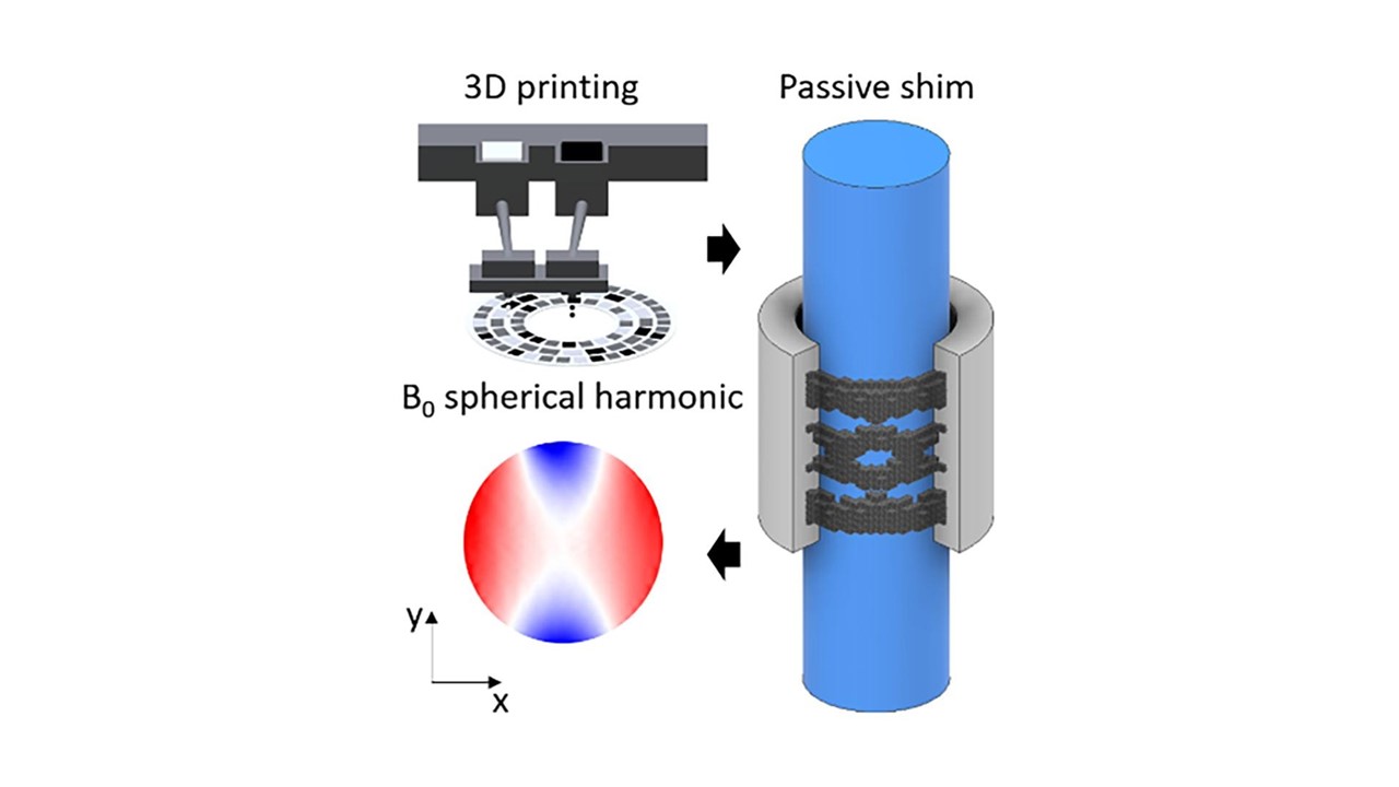 3D printing of ferromagnetic passive shims for field shaping in magnetic resonance imaging