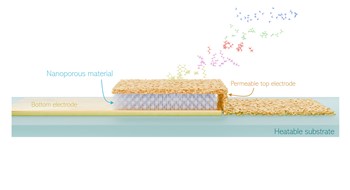 Kinetic Selectivity Sensing in Nat. Com.!