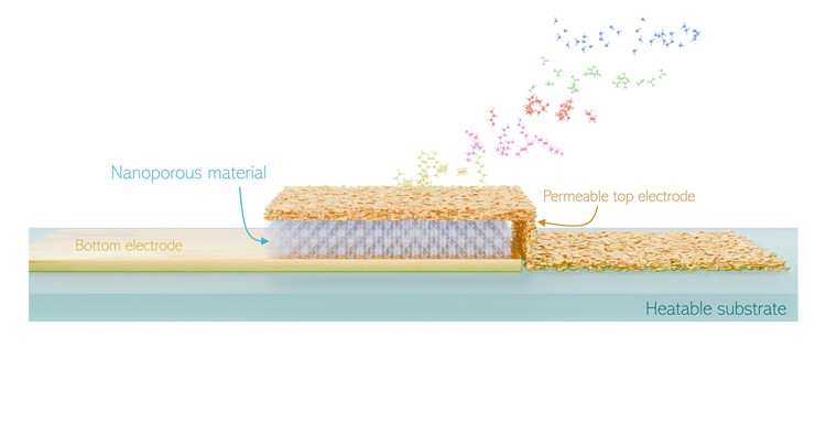 Kinetic Selectivity Sensing in Nat. Com.!