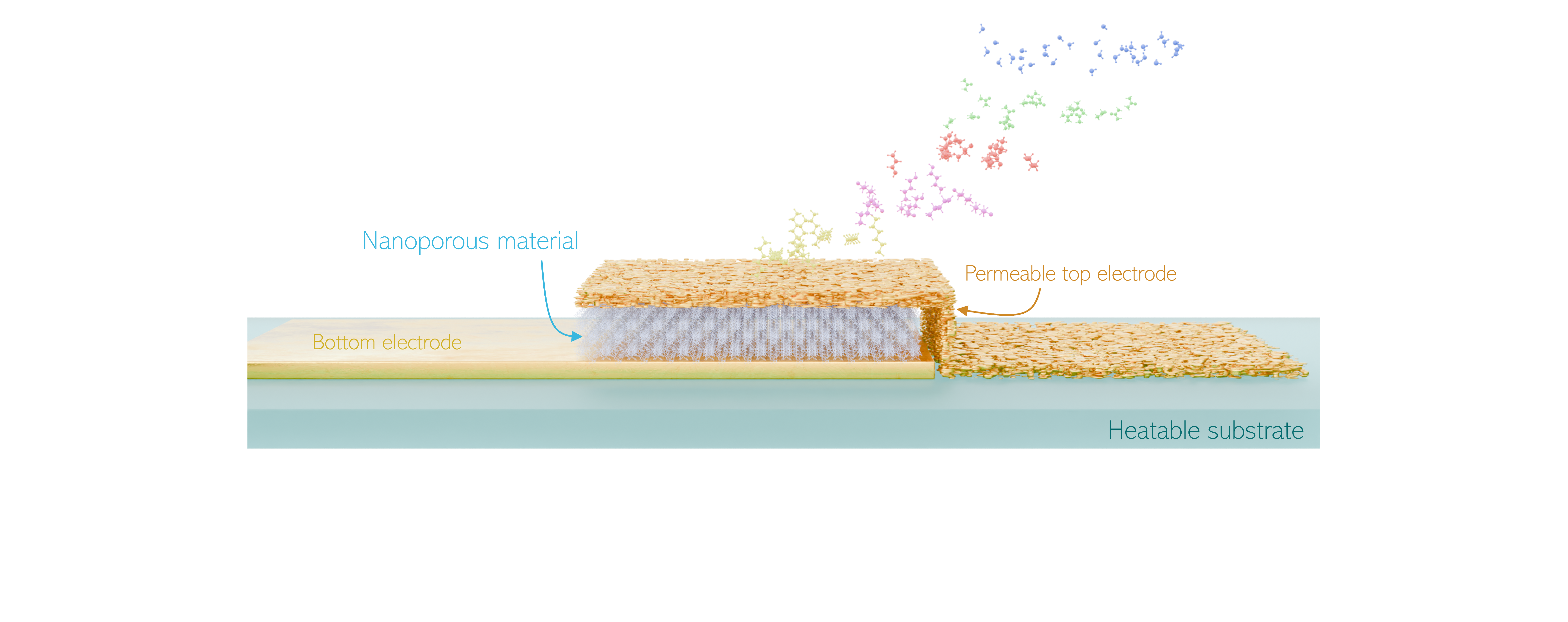 Our kinetic selectivity research highlighted in national media