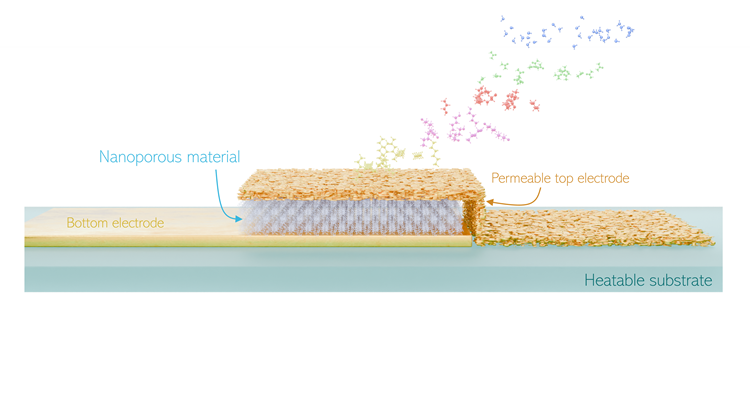 Our kinetic selectivity research highlighted in national media!